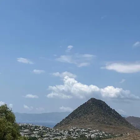 Helios *